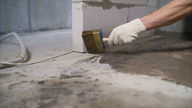 SJ Waterproofing Pros Waterproofing coverage map for Maynardville, TN and surrounding area